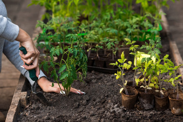 Similar image 21199667