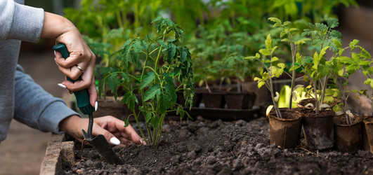 Similar image 21199668