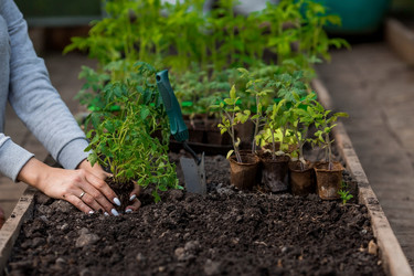 Similar image 21199669