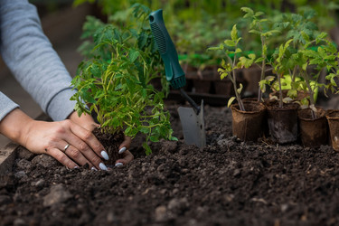 Similar image 21199670