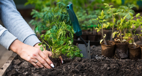 Similar image 21199674