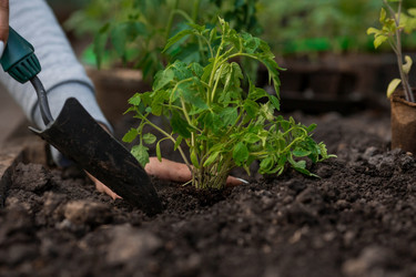 Similar image 21199675