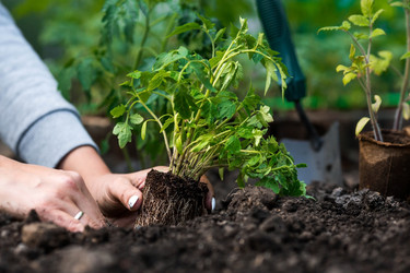 Similar image 21199676