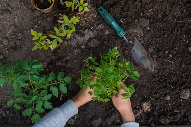 Similar image 21199679