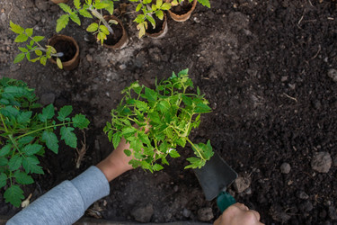 Similar image 21199680