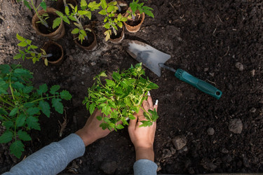 Similar image 21199681