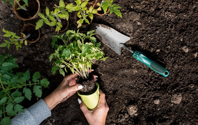 Similar image 21199682