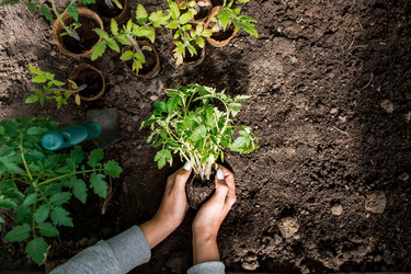 Similar image 21199683