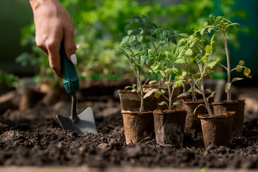 Similar image 21199686