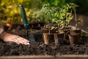 Similar image 21199687