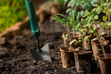 Similar image 21199689