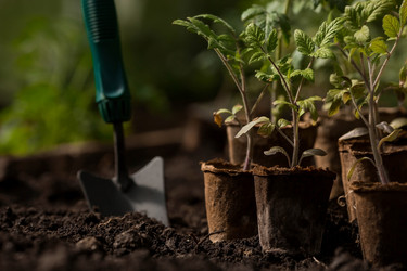 Similar image 21199690