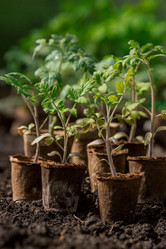 Similar image 21199691