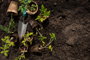 Similar image 21199692