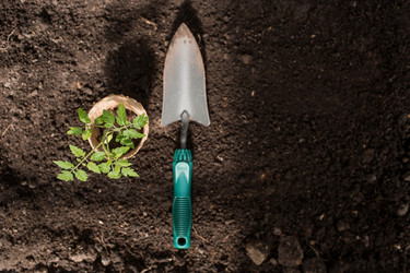 Similar image 21199694