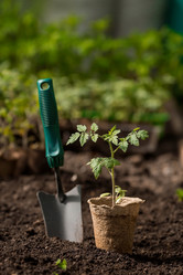 Similar image 21199696