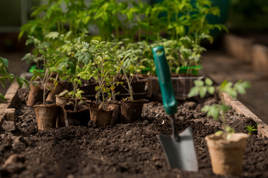 Similar image 21199697