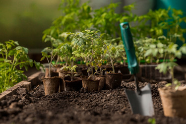 Similar image 21199698