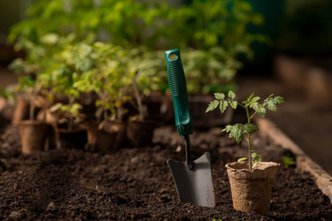 Similar image 21199699