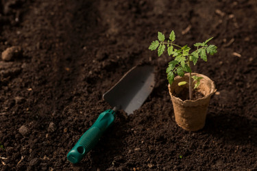 Similar image 21199701