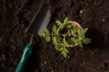 Similar image 21199702