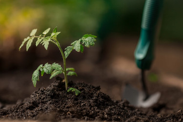 Similar image 21199704