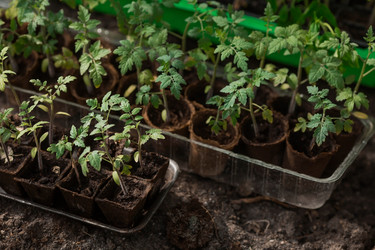 Similar image 21199705