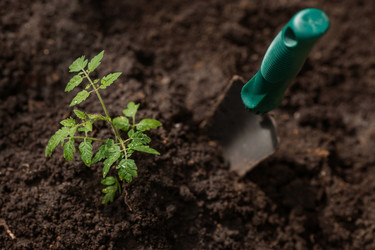 Similar image 21199708