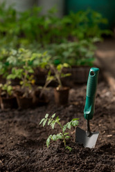 Similar image 21199709