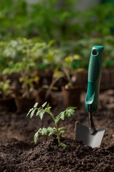 Similar image 21199710