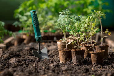 Similar image 21199712