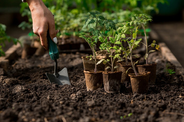 Similar image 21199713