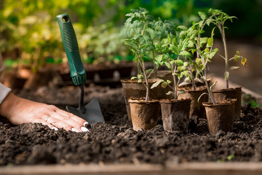 Similar image 21199714