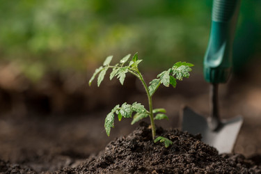 Similar image 21199715