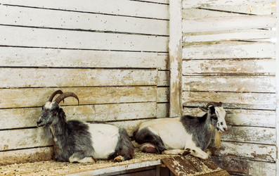 Similar image 21196499