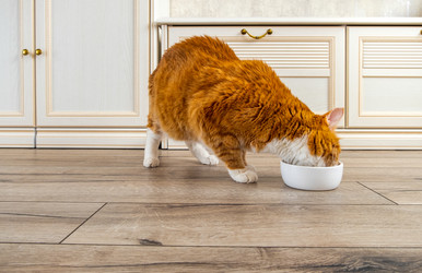 Similar image 21196465