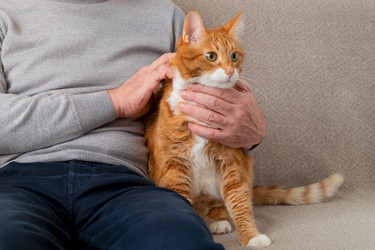 Similar image 21196466