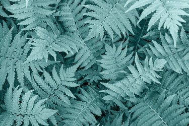 Similar image 21196467