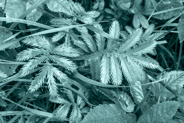 Similar image 21196468