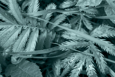 Similar image 21196535