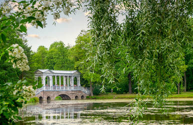 Similar image 21196538