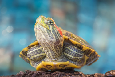 Similar image 21196293