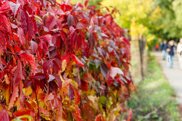 Similar image 21196257