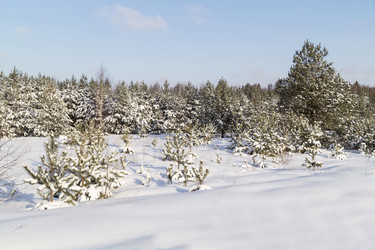 Similar image 21195656