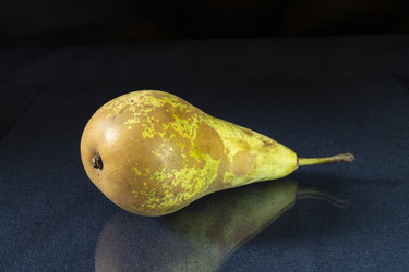 Similar image 21195657