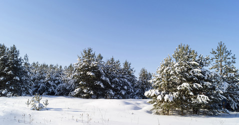 Similar image 21195660