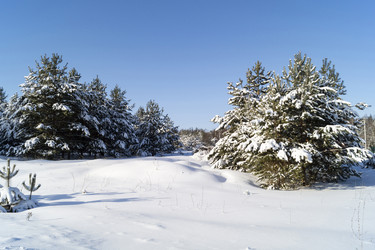 Similar image 21195662