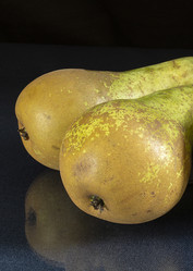 Similar image 21195663