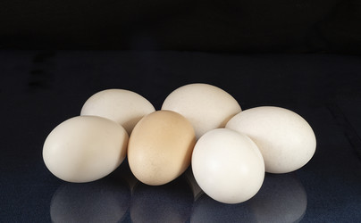 Similar image 21195684