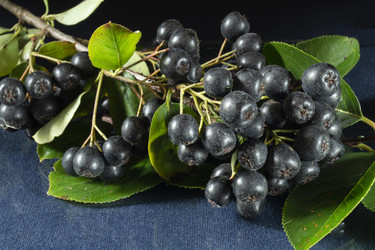 Similar image 21197840